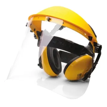 Set de protectie PPE  cu viziera si casti antifon PW90 Portwest