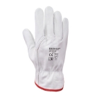 Manusi de protectie piele Driver 1C74 Renania