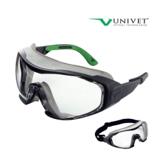 Ochelari de protectie tip Goggle 6X1, D254 Renania